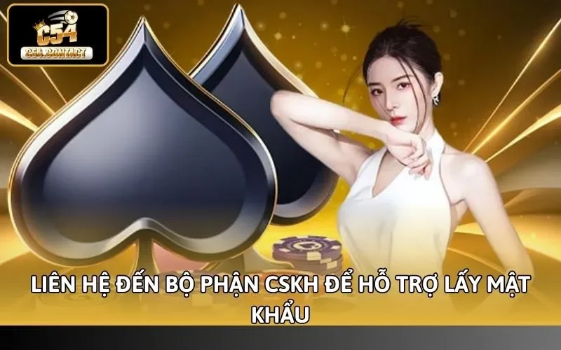 Quên Mật Khẩu C54 Phải Làm Sao - Hướng Dẫn Lấy Lại Nhanh 5 Liên hệ đến bộ phận CSKH để hỗ trợ lấy mật khẩu
